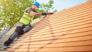 Best Roof Maintenance and Cleaning  in Blue Grass, IA